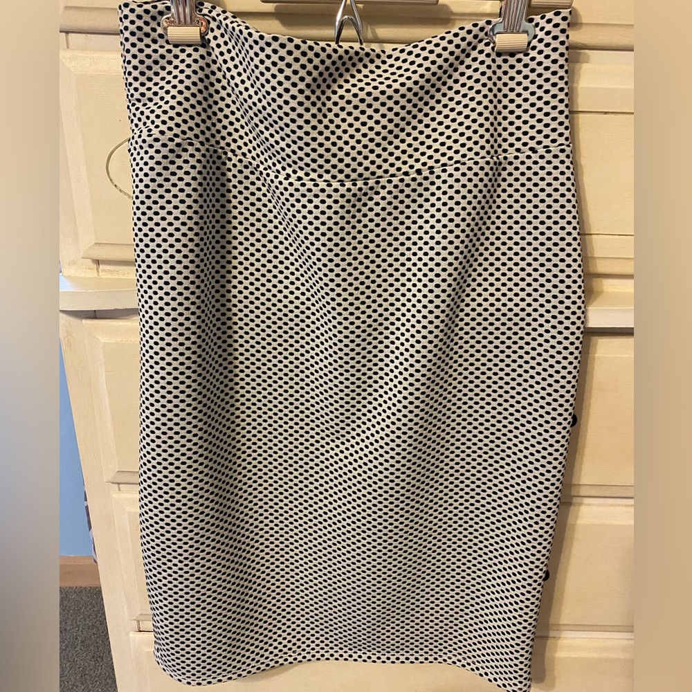 NWOT Lularoe skirt
